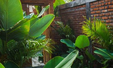 DISEWAKAN 1 BEDROOM POOL VILLA – SEMANA, UBUD – VIEW SAWAH
