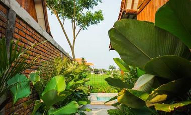 DISEWAKAN 1 BEDROOM POOL VILLA – SEMANA, UBUD – VIEW SAWAH