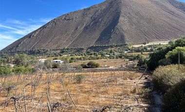 Agrícola en Venta en Lote 1 Inmueble el Naranjo Segundo Andacollito