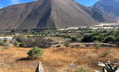 Agrícola en Venta en Lote 1 Inmueble el Naranjo Segundo Andacollito