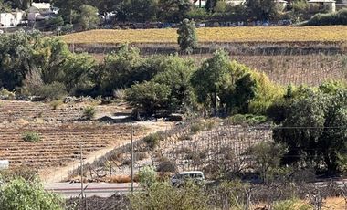 Agrícola en Venta en Lote 1 Inmueble el Naranjo Segundo Andacollito