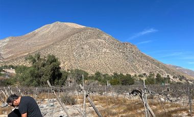 Agrícola en Venta en Lote 1 Inmueble el Naranjo Segundo Andacollito