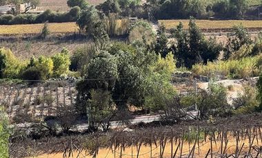 Agrícola en Venta en Lote 1 Inmueble el Naranjo Segundo Andacollito