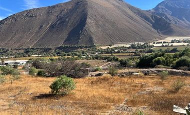 Agrícola en Venta en Lote 1 Inmueble el Naranjo Segundo Andacollito
