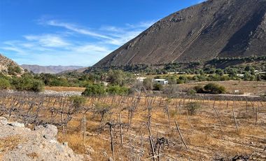 Agrícola en Venta en Lote 1 Inmueble el Naranjo Segundo Andacollito