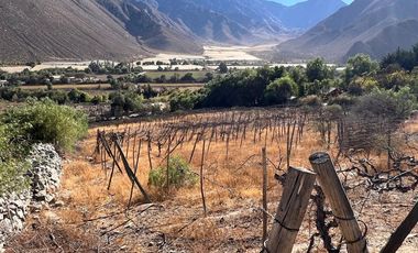 Agrícola en Venta en Lote 1 Inmueble el Naranjo Segundo Andacollito