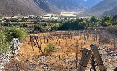Agrícola en Venta en Lote 1 Inmueble el Naranjo Segundo Andacollito