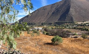 Agrícola en Venta en Lote 1 Inmueble el Naranjo Segundo Andacollito