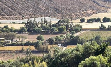 Agrícola en Venta en Lote 1 Inmueble el Naranjo Segundo Andacollito