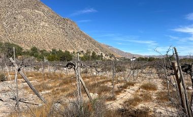 Agrícola en Venta en Lote 1 Inmueble el Naranjo Segundo Andacollito