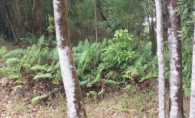 ¡Oportunidad Única! Se Vende Parcela en Exclusivo Condominio