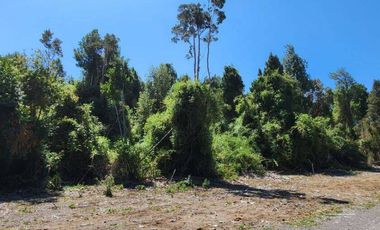 Parcela de 5.057 m2 Sector Río Pescado, Puerto Varas.