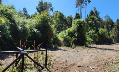 Parcela de 5.057 m2 Sector Río Pescado, Puerto Varas.