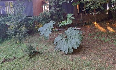 Se Arrienda  Casa en Balneario Pelluco, Puerto Montt