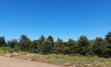 Venta Parcela 5000 m² - Camino Las Lomas