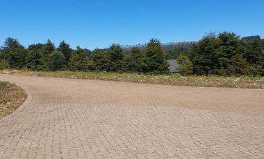 Venta Parcela 5000 m² - Camino Las Lomas