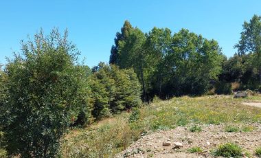 Venta Parcela 5000 m² - Camino Las Lomas