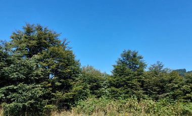 Venta Parcela 5000 m² - Camino Las Lomas