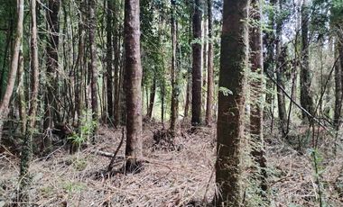 Venta de Terreno en Sendero Tres Puentes - Puerto Varas