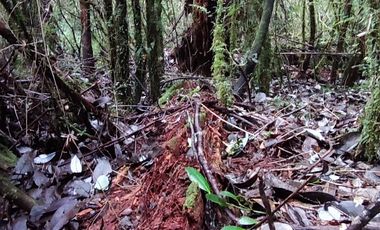 Venta de Terreno en Sendero Tres Puentes - Puerto Varas