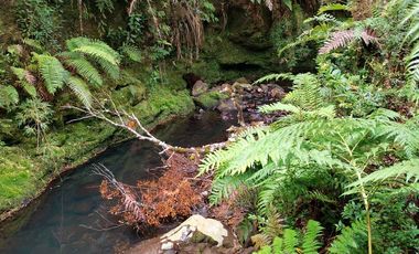 Venta de Terreno en Sendero Tres Puentes - Puerto Varas