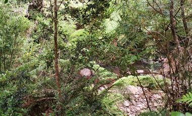 Venta de Terreno en Sendero Tres Puentes - Puerto Varas