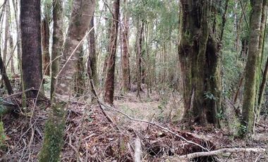 Venta de Terreno en Sendero Tres Puentes - Puerto Varas