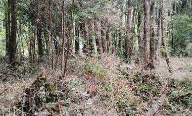 Venta de Terreno en Sendero Tres Puentes - Puerto Varas