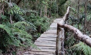Venta de Terreno en Sendero Tres Puentes - Puerto Varas