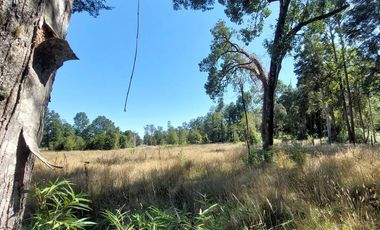  Venta: Encantadora Parcela en Frutillar - Kilómetro 17 Camino a Tegualda