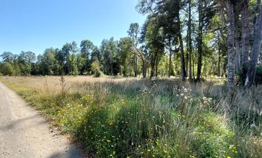  Venta: Encantadora Parcela en Frutillar - Kilómetro 17 Camino a Tegualda