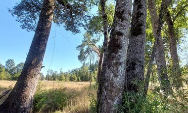  Venta: Encantadora Parcela en Frutillar - Kilómetro 17 Camino a Tegualda