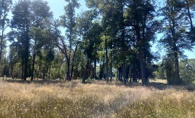  Venta: Encantadora Parcela en Frutillar - Kilómetro 17 Camino a Tegualda