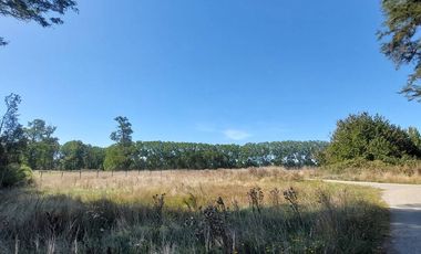  Venta: Encantadora Parcela en Frutillar - Kilómetro 17 Camino a Tegualda