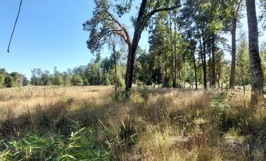  Venta: Encantadora Parcela en Frutillar - Kilómetro 17 Camino a Tegualda