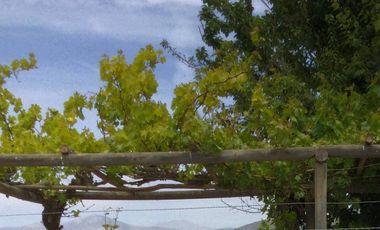 Se ofrece en Venta bella Parcela, Camino al Valle del Elqui.