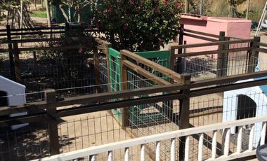 Se ofrece en Venta bella Parcela, Camino al Valle del Elqui.