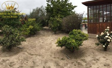 Se ofrece en Venta bella Parcela, Camino al Valle del Elqui.