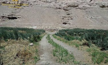 Se arrienda propiedad con Parcela ubicada en Chiu Chiu