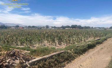 Se venden 3 parcelas de 5.000 mt2, Sector La Banda, Calama.