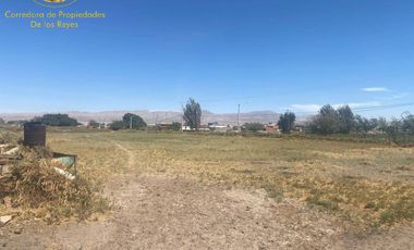 Se venden 3 parcelas de 5.000 mt2, Sector La Banda, Calama.