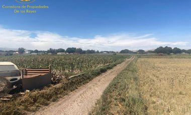 Se venden 3 parcelas de 5.000 mt2, Sector La Banda, Calama.
