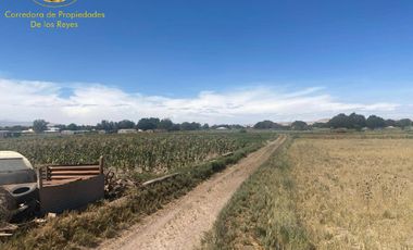 Se venden 3 parcelas de 5.000 mt2, Sector La Banda, Calama.