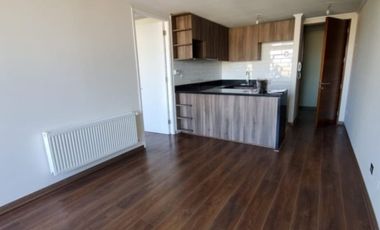 FRANCISCO BILBAO/RICARDO LYON PROVIDENCIA