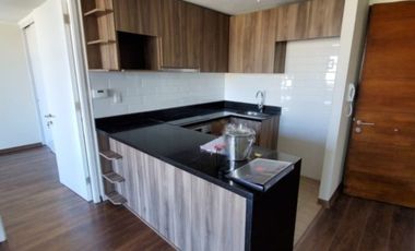 FRANCISCO BILBAO/RICARDO LYON PROVIDENCIA