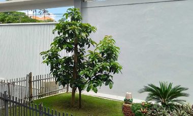 VILLA READY BARU 3 BR VIEW SAWAH BEST LOCATION DI UMALAS BALI