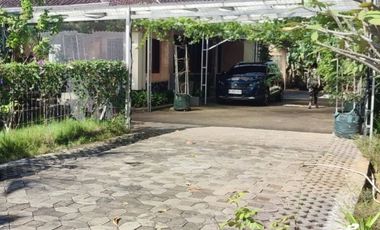 RUMAH KEBUN LUAS - SOLO