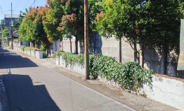 RUMAH KEBUN LUAS - SOLO