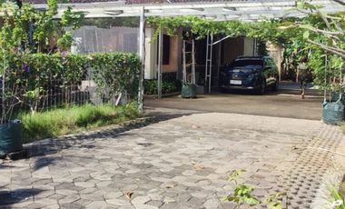 RUMAH KEBUN LUAS - SOLO