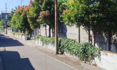 RUMAH KEBUN LUAS - SOLO